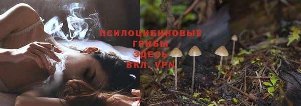 ПСИЛОЦИБИНОВЫЕ ГРИБЫ Зеленодольск