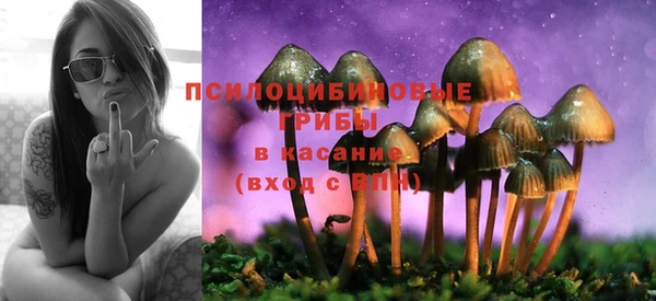 ПСИЛОЦИБИНОВЫЕ ГРИБЫ Зеленодольск