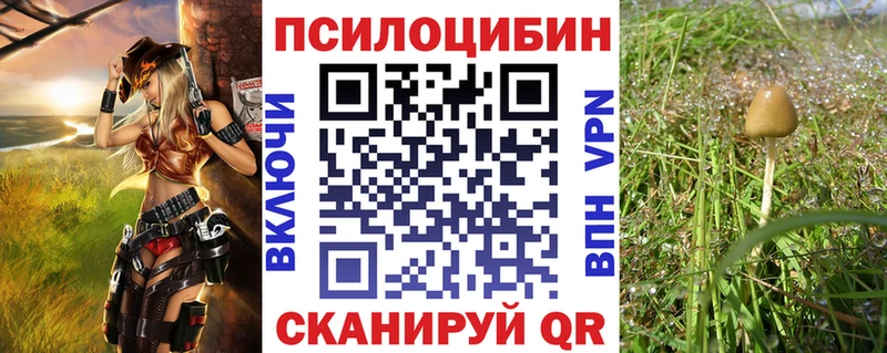 Купить закладки  Волжск  Псилоцибиновые грибы мицелий 