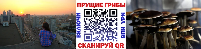 Псилоцибиновые грибы Cubensis Волжск